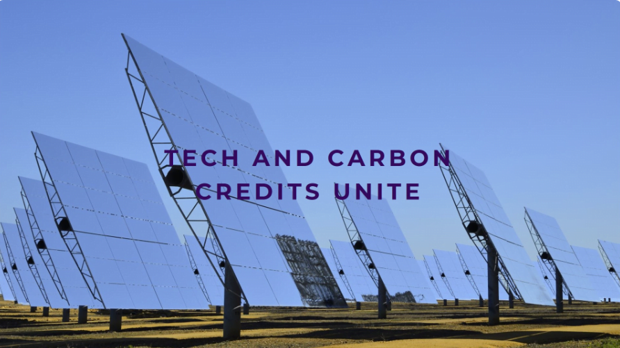 carbon credit
